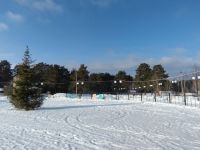 Парк Алтынова