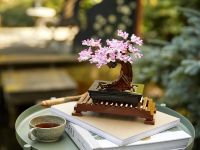 Creator 10281 Конструктор Бонсай