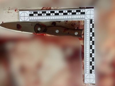 Жительница Горного района зарезала кухонным ножом работодателя своего супруга