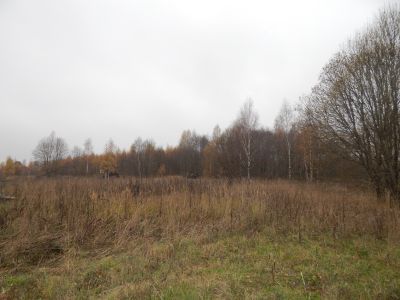 Родина поэта В.Г. Кириллова, участника революции 1905, 1917 гг.