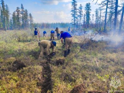 Восемь лесных пожаров ликвидировали в Якутии за сутки