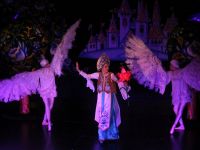 Санкт-Петербургский государственный детский драматический театр «На Неве»