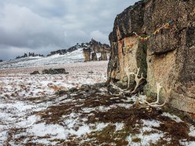 Арктическая снегоходная экспедиция «К Каменным Людям Сундуруна через кряж Суор Уйата». Сопутствующая рыбалка на трофейного арктического гольца