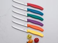 Кухонный нож серрейтор Victorinox 6.7239.C1, сталь X50CrMoV15, рукоять полипропилен