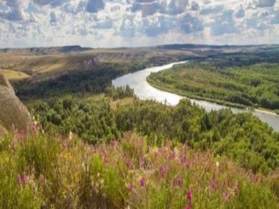 Всему начало здесь, в краю родном. Познавательная программа