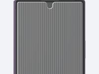 Защитное стекло Araree Core Privacy для Galaxy Z Flip8, 2 шт прозрачный