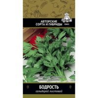 Сельдерей листовой Бодрость
