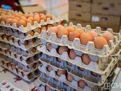 Как выбрать и хранить яйца: советы Роскачества