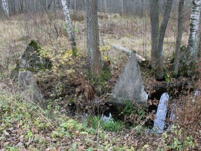 Противотанковые надолбы в зоне, где в 1941-43 гг. находились рубежи обороны советских войск