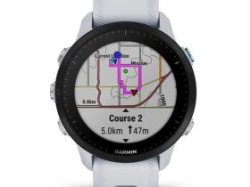 Смарт-часы Garmin Forerunner 955 (White) (010-02638-31)
