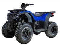 Квадроцикл PROGASI Race Jumper 200 SE