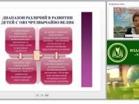 Реализация адаптированной образовательной программы и индивидуального учебного плана учащегося с ОВЗ (ФГОС)