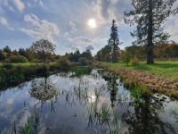 Усадьба Демидовых в Тайцах