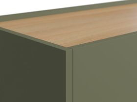 Тумба Торвалль 143x87 Оливковый