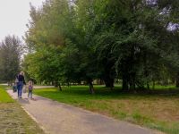 Сквер «Кировский» г. Красноярска