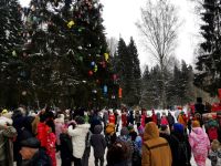 Лесопарк «Талицкий лес»