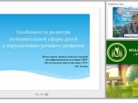Особенности развития познавательной сферы детей с нарушениями речевого развития