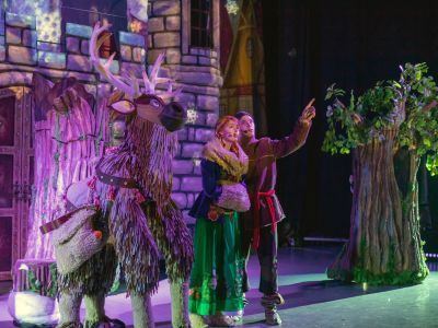 Билеты на Ледяное сердце (Екатерининское собрание) / Театр | Афиша | ИнфоТаймс