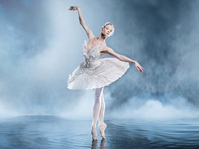 Лебединое озеро (Михайловский театр)