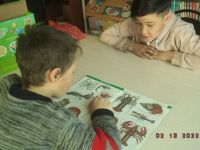 Центральная районная детская библиотека с. Верх-Усугли