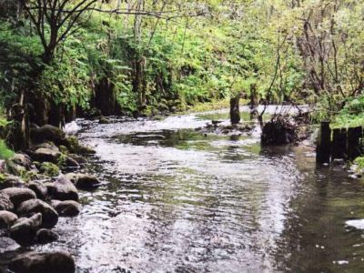 Канал Шинкарский