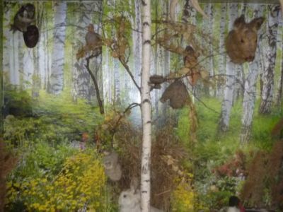 Москаленский районный краеведческий музей