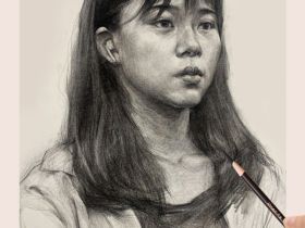 Набор угольных карандашей Dmast 10 штук ассорти в картонной упаковке