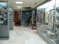 Чувашский национальный музей