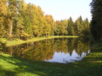 Усадьба "Золино": - парк