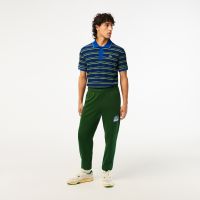 Мужские спортивные брюки Lacoste приталенного кроя