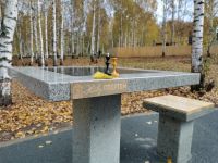 Клинский городской парк культуры и отдыха «Сестрорецкий»