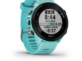 Смарт-часы Garmin Forerunner 55 42 mm (Aqua) (010-02562-12)