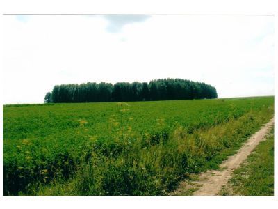 Священная роща