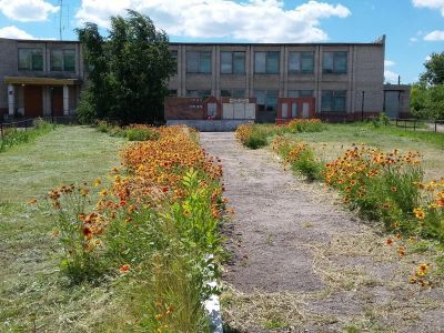 Октябрьская поселенческая библиотека