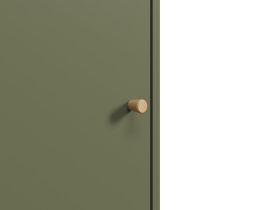 Стеллаж Кейн 1-39x149 Оливковый