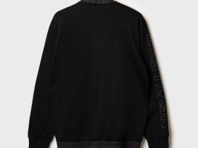 Толстовка трикотажная для мужчин