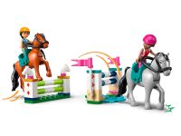 Friends 42688 Конструктор Академия верховой езды