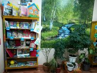 Детская библиотека г. Красавино