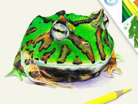 Набор карандашей цветных ACMELIAE "Artmate" 5 в 1, 60 цв