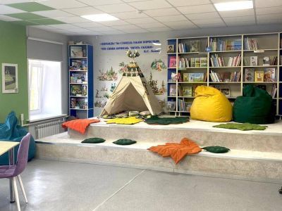 Шевинская библиотека