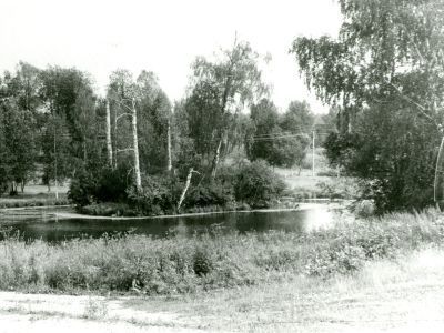 Усадьба "Ивановское II". Парк