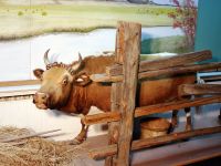 Якутский государственный объединенный музей истории и культуры народов Севера им. Ем. Ярославского