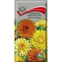 Календула низкорослая Пигми смесь окрасок