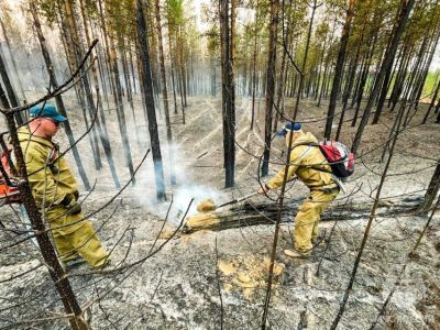 В Якутии ликвидировали три лесных и три ландшафтных пожара