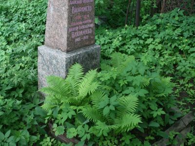 Могила Вахрамеева А.И. (1874-1926), художника