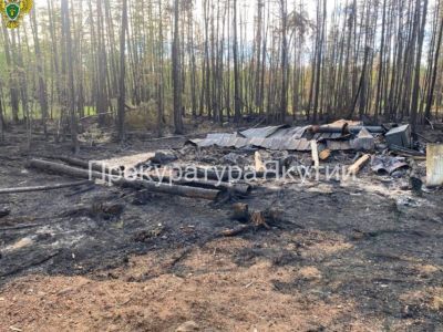 Мужчина предстанет перед судом за уничтожение пожаром 33 га леса в Якутии