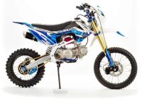 Питбайк MOTOLAND Apex125 E (2021 г.)