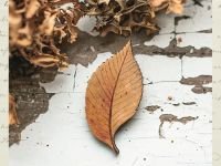 Деревянная брошка Дворникова А. "Листик"