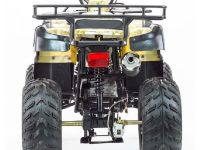 Квадроцикл STALKER 250