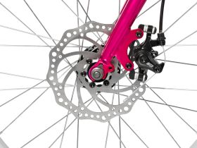 Детский велосипед Foxx Jasmine 20 Disc, год 2026, цвет Коричневый